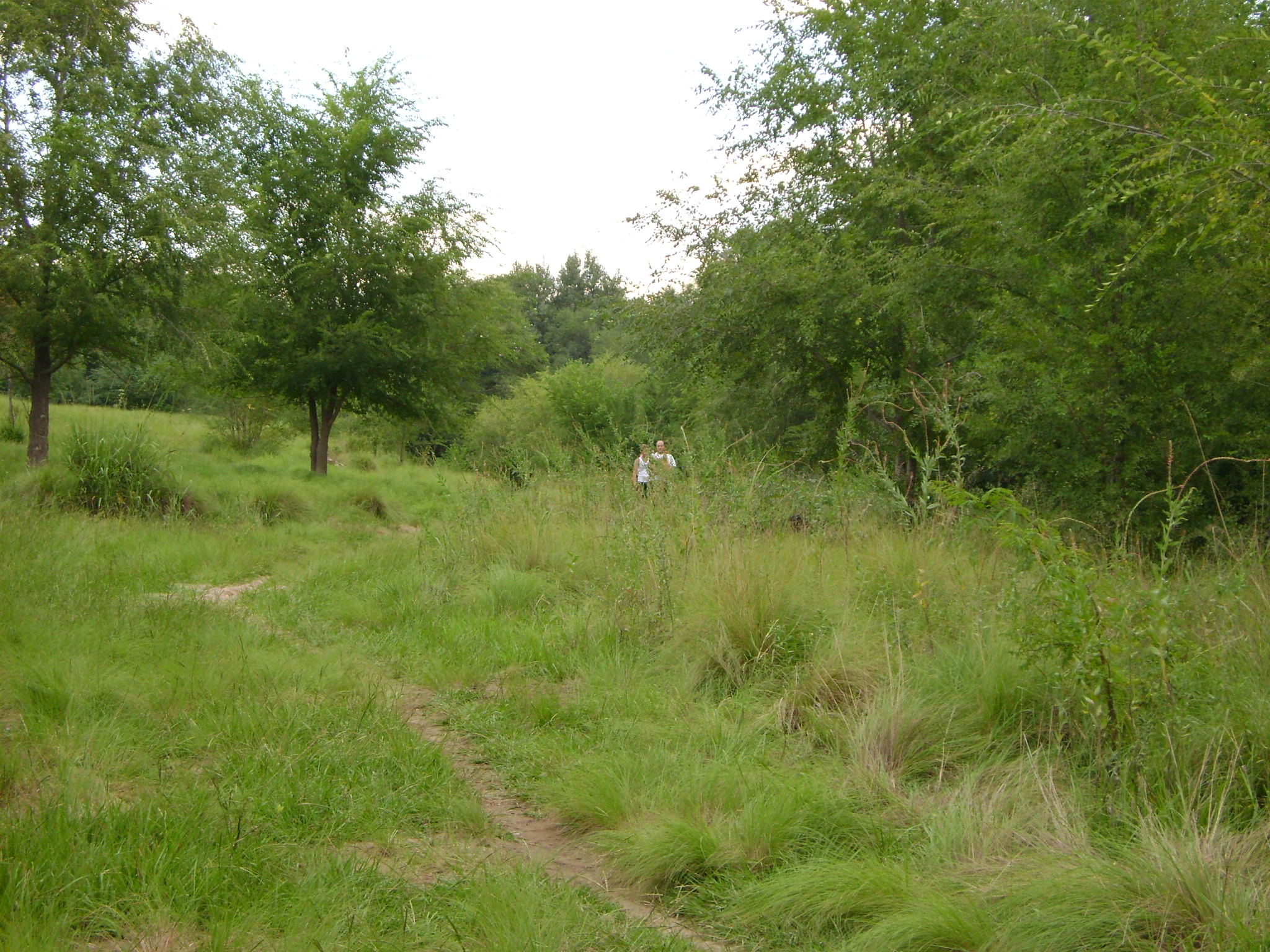 fotos/2011 - Los Reartes/DSC03480.JPG
